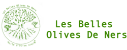 Logo Banner Arbre Olivier et Titre